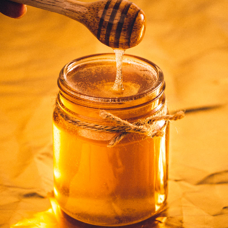 Raw Wildflower Honey 16 oz β Pantry at Mega Sale